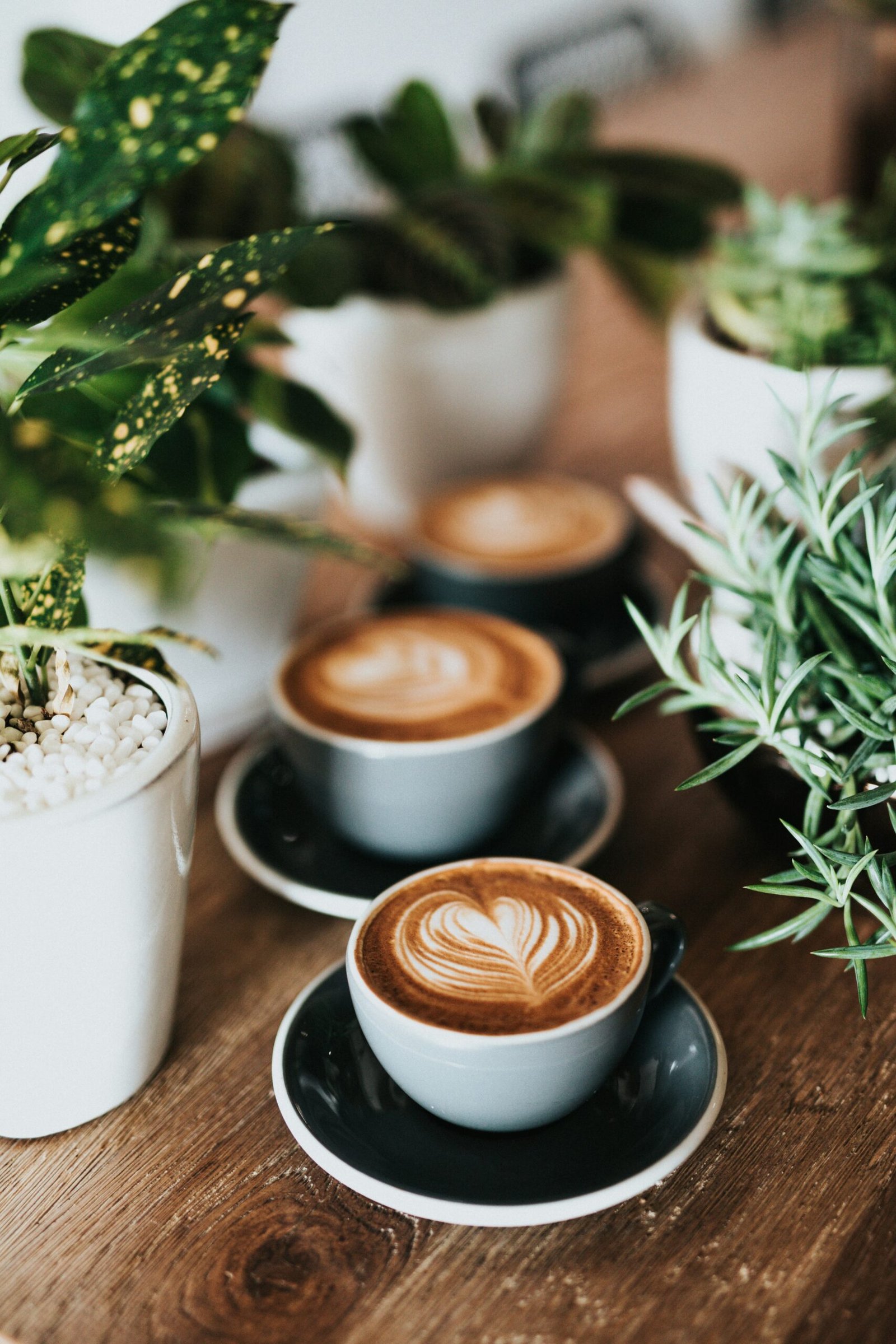 Coffee station and seating